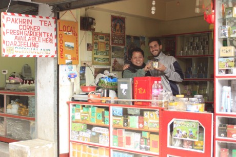 Buying Darjeeling Tea