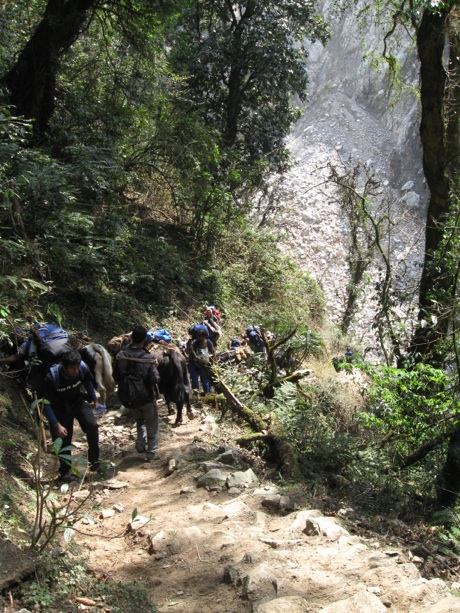 On our way to Bakhim as we begin our ascent to base camp - West Sikkim, India