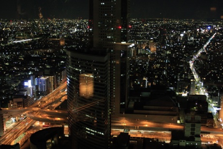 Best view in Tokyo from the 41st floor of the Park Hyatt Tokyo